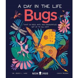 Bugs: A Day In The Life