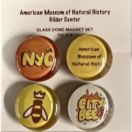 Set of Four Glass Dome NYC Bee Magnets