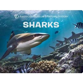 American Museum of Natural History Sharks Board Book