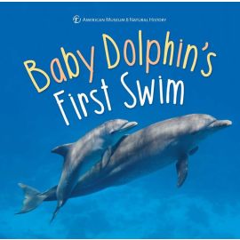 Baby Dolphin's First Swim