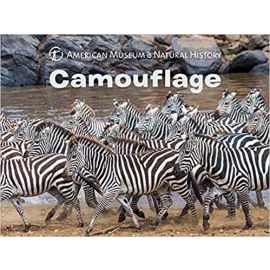American Museum of Natural History Camouflage Board Book