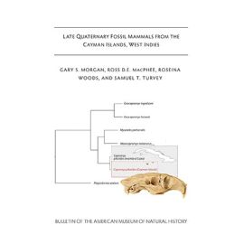 B428 (2019) Late Quaternary Fossil Mammals From The Cayman islands