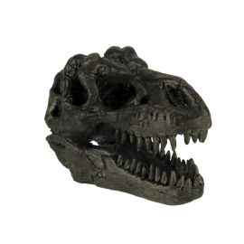 6 Inch T. Rex Skull Model