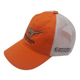 Youth Orange Titanosaur Cap