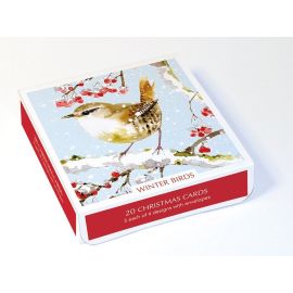 Winter Birds Christmas Cards Boxed Set